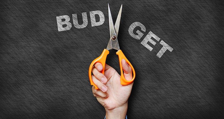 a pair of scissors cutting you word 'budget' in half